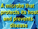 Ormus Minerals Probiotics definition